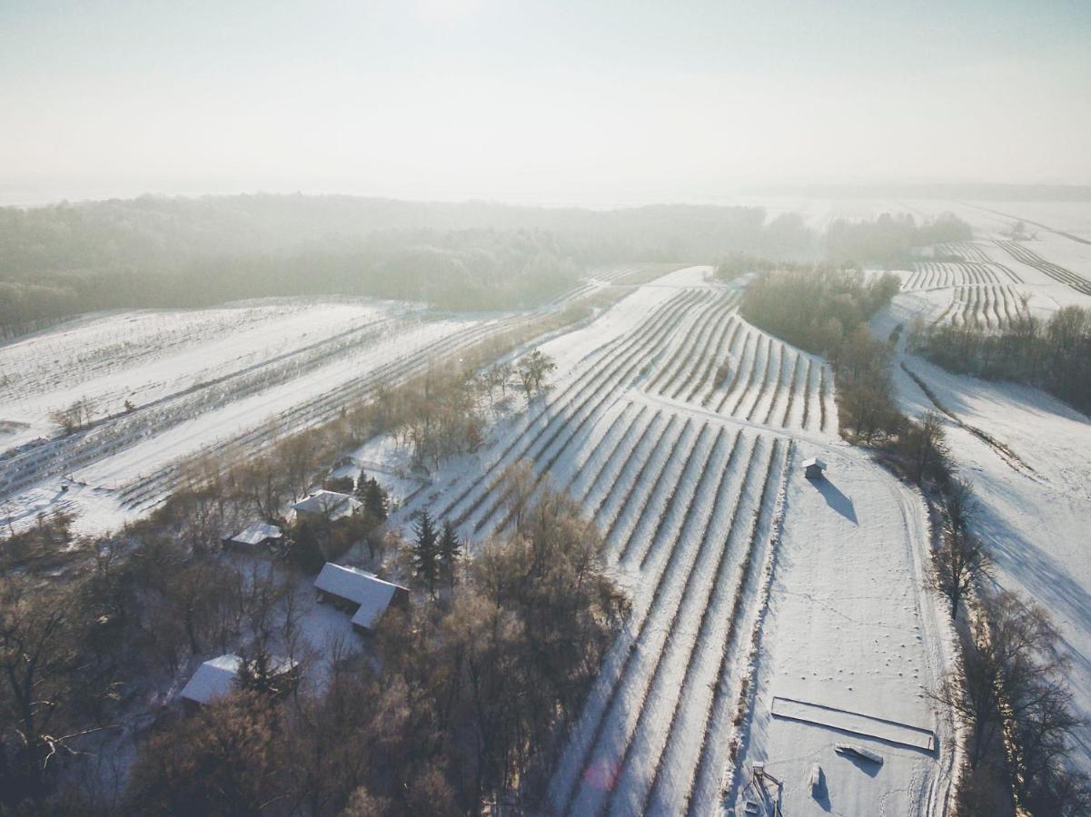 Chata Nad Wawozem Nałęczów Exterior foto